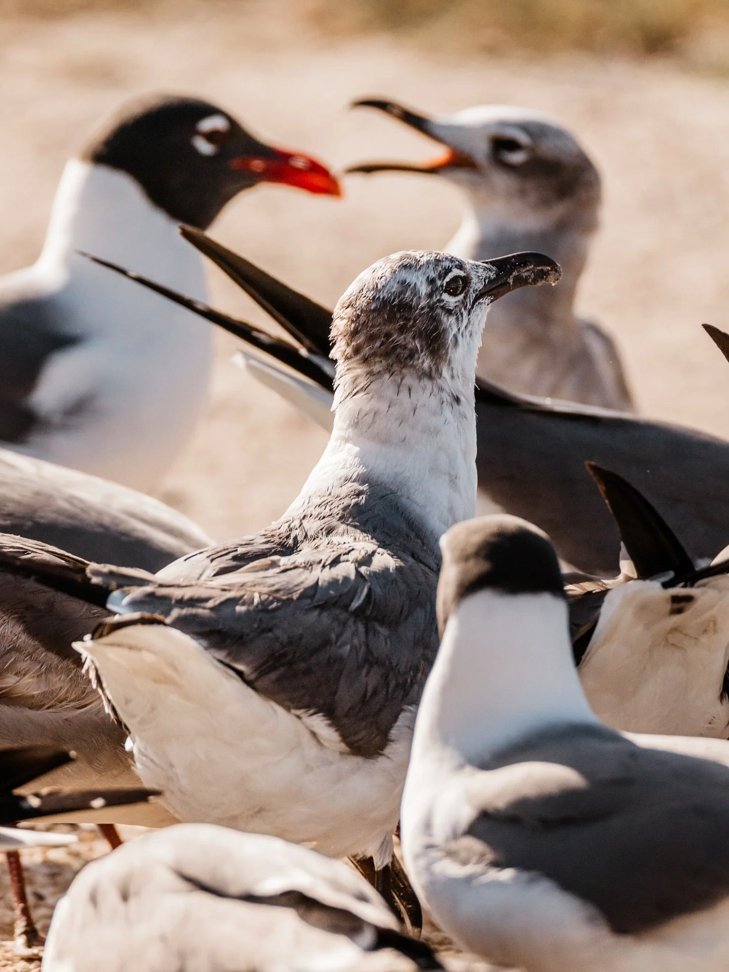 Awkward. Spring Break always has all the drama.