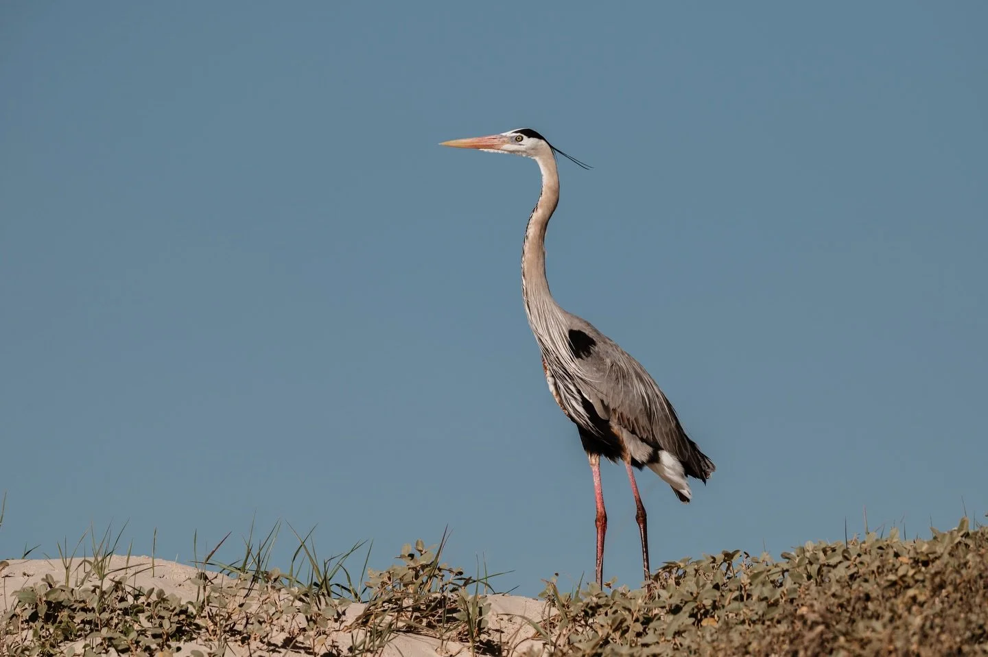 I had no words, just embarrassed children who really wanted their dad to keep moving the truck along.