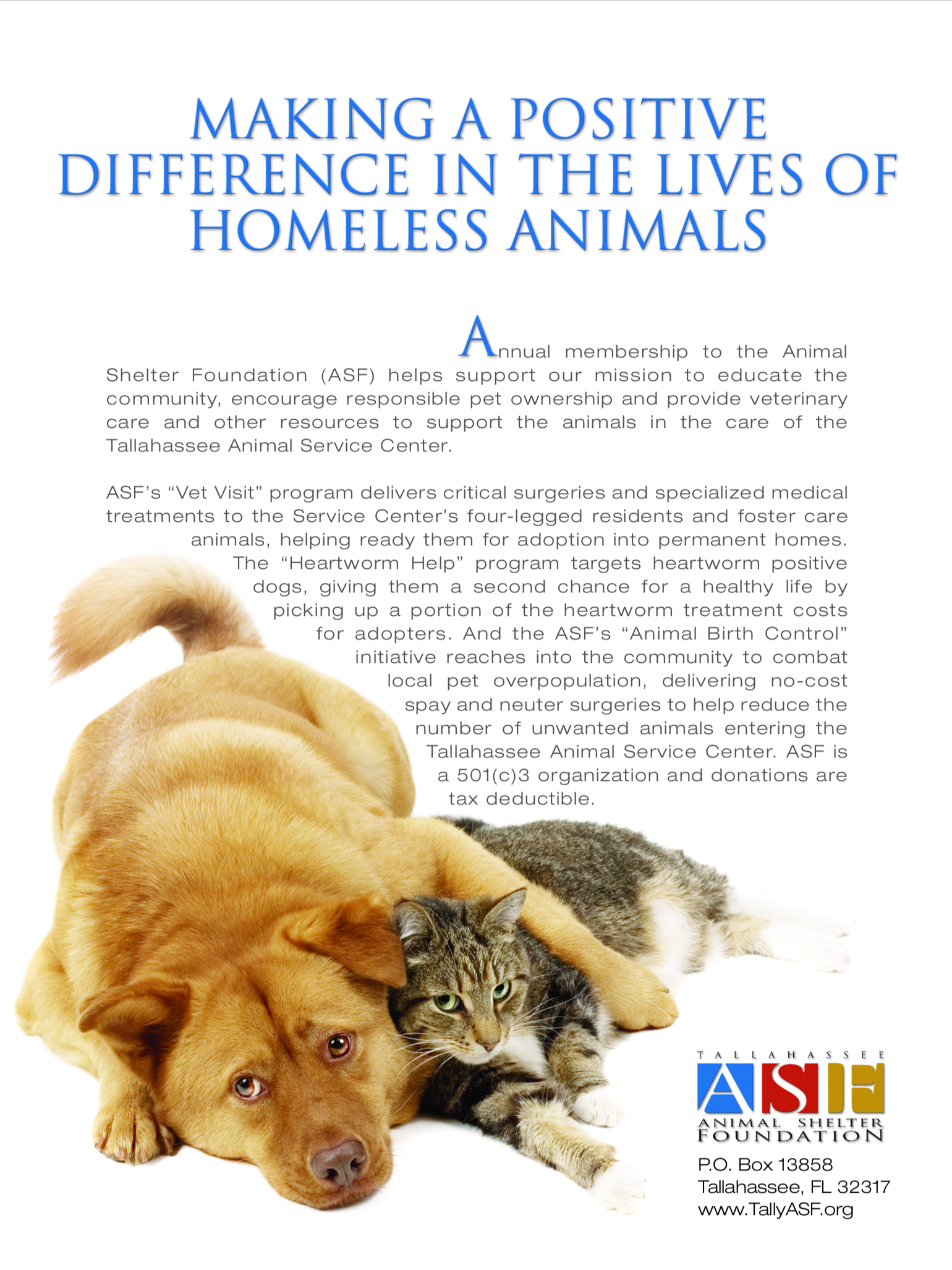 Screen Shot 2018-04-02 at 11.13.56 AM.png