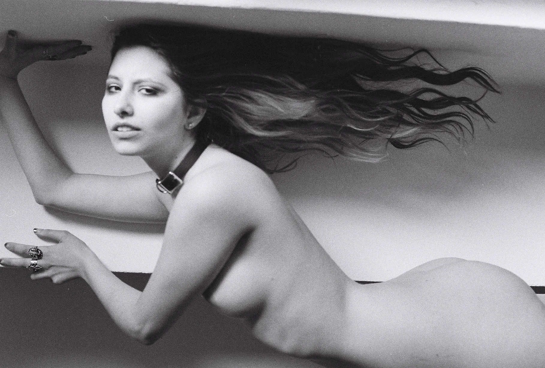  Photo by StrayV0ltage 