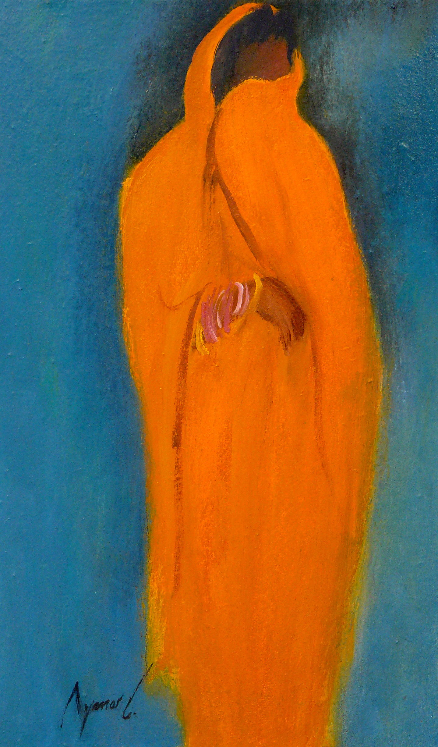 The elegance of the sari
