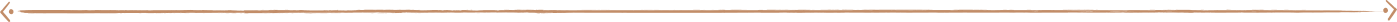 seta.png