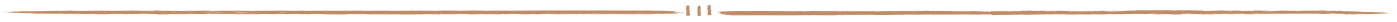 seta2.png