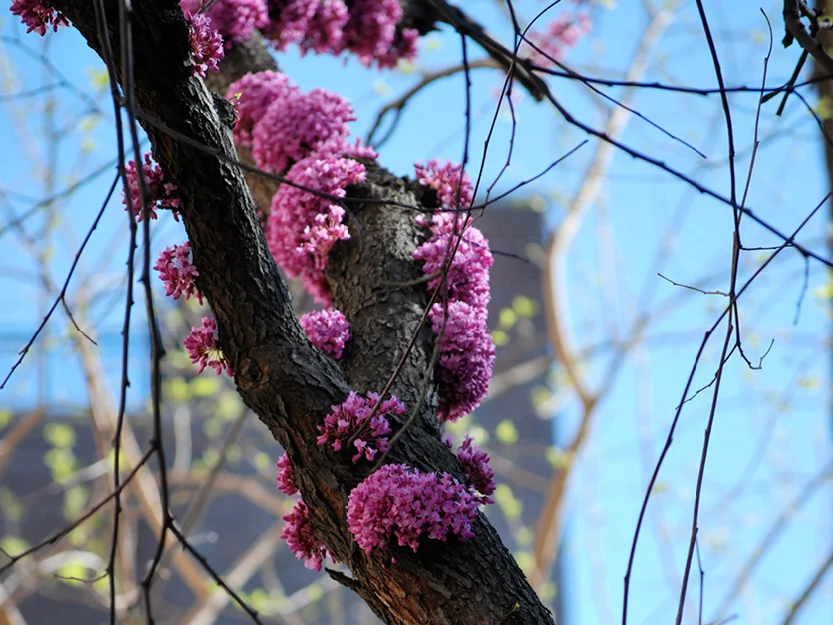 A New Freedom and a New Happiness