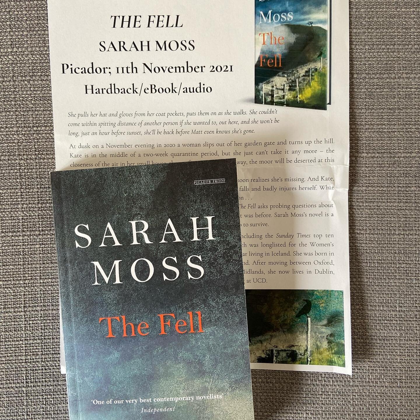 I was so excited when this dropped through my door, having seen it all over Twitter. Thank you so much for #TheFell, @picadorbooks. I cannot wait to read it.
