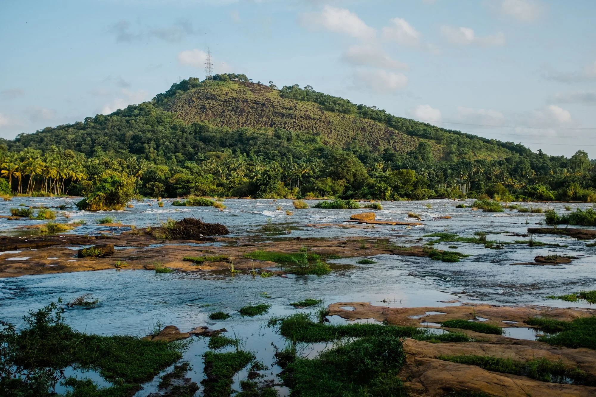 Kerala-yves-seeholzer-201757.jpg