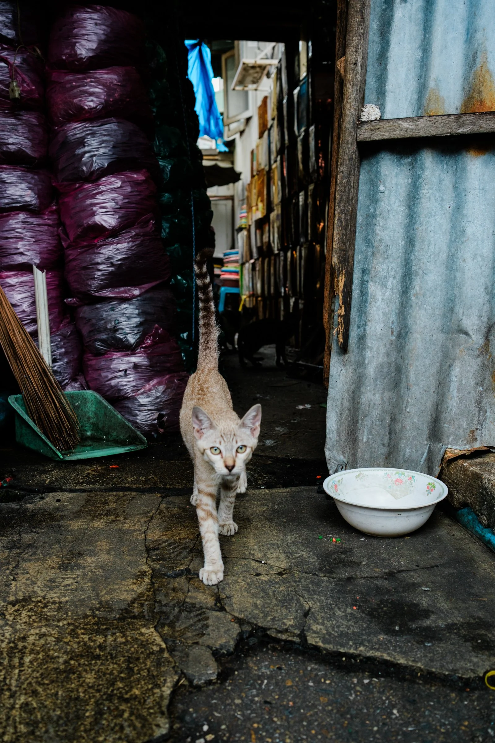 Bangkok_Streetfotografie_Kamera1_XT5-285.jpg
