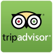TripAdvisor-logo.jpg