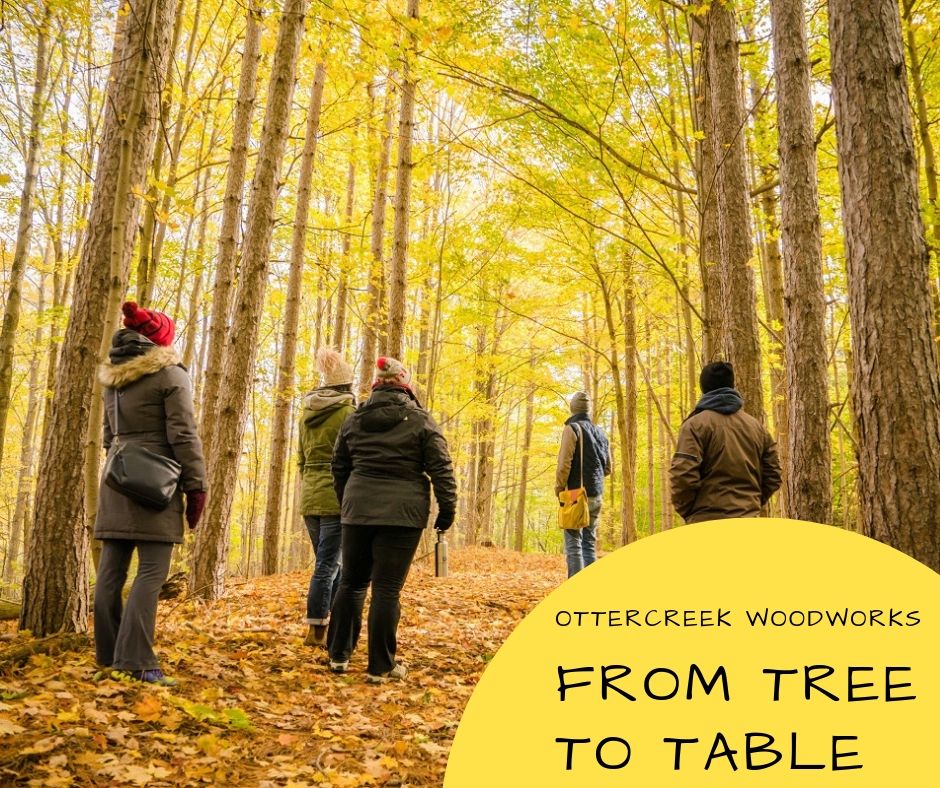 From Tree to Table.jpg