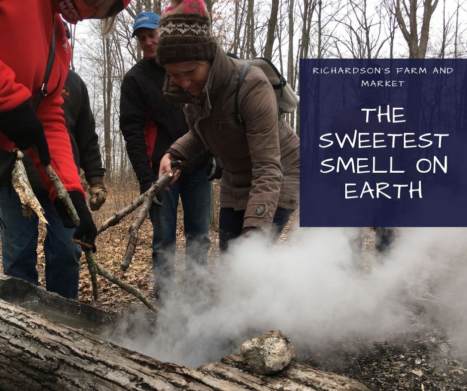 The Sweetest Smell on Earth.jpg