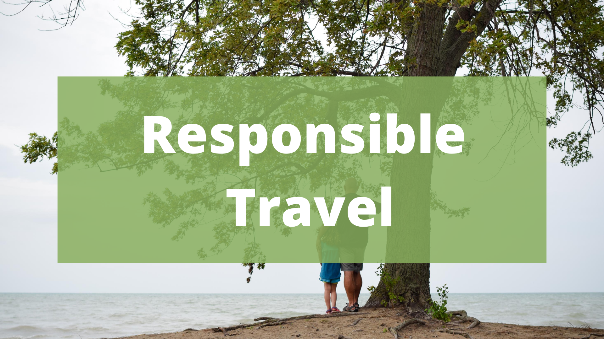 Copy of Sustainability (2).jpg