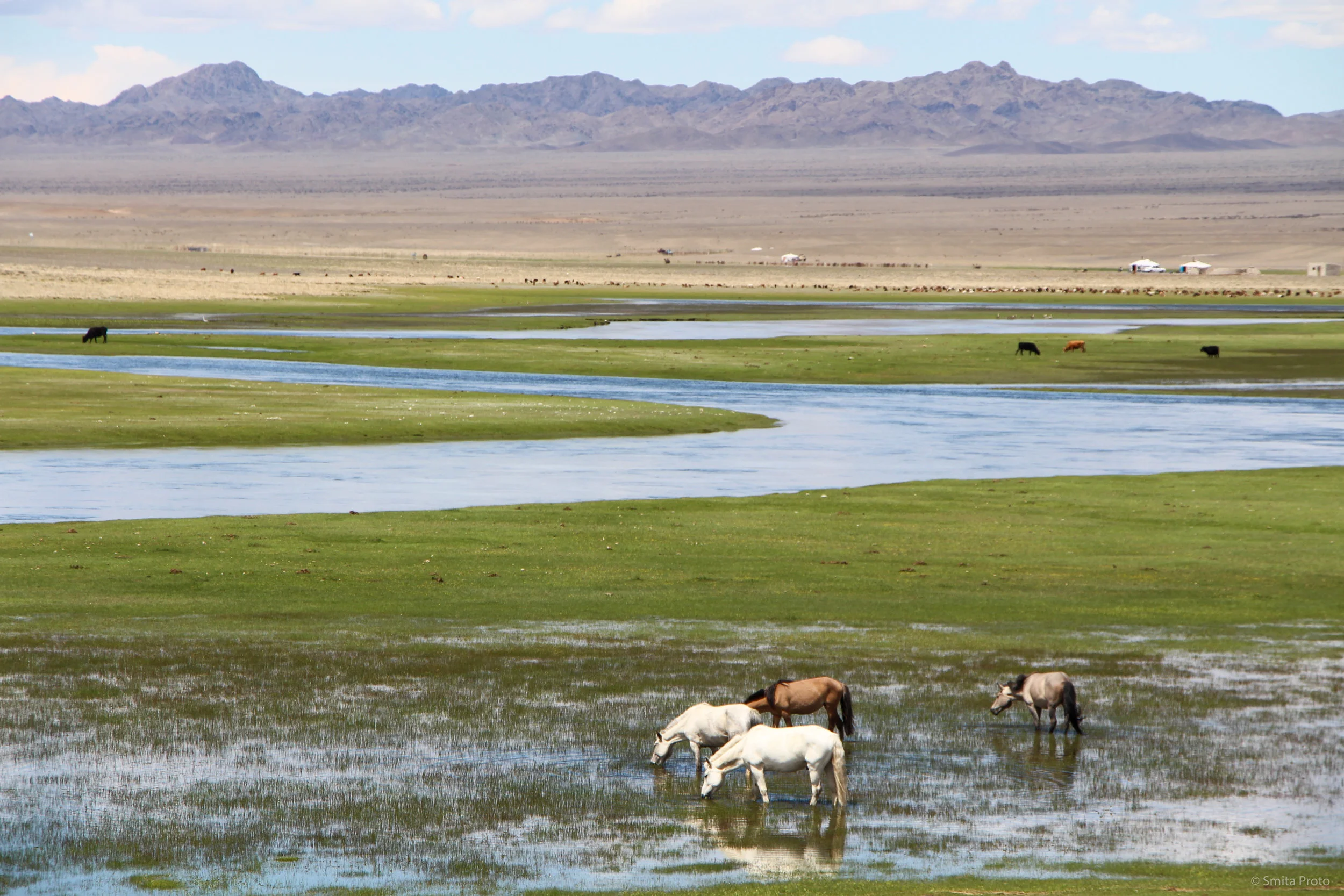   02 &nbsp; Western Mongolia 