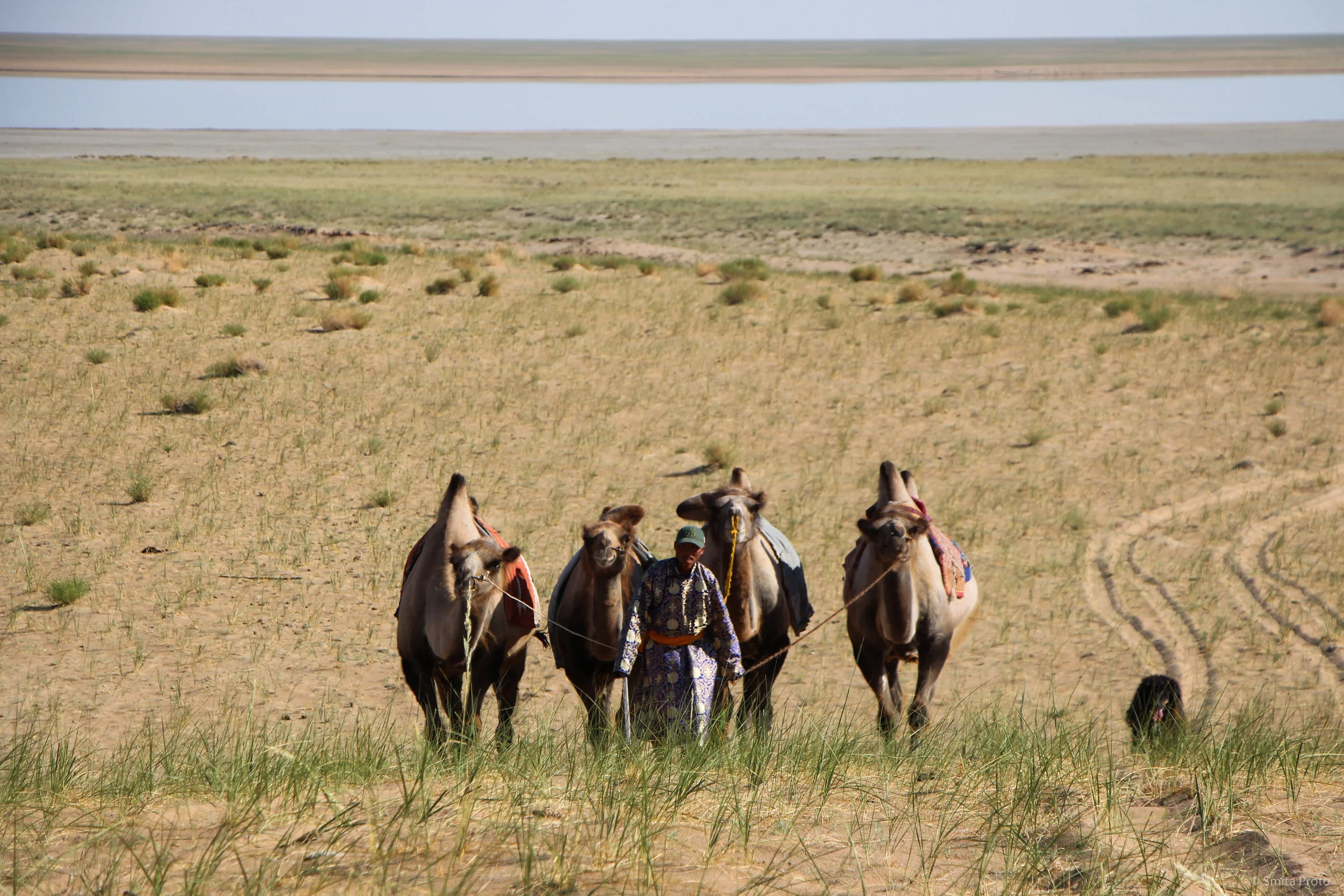   05&nbsp;  Western Gobi, Mongolia 