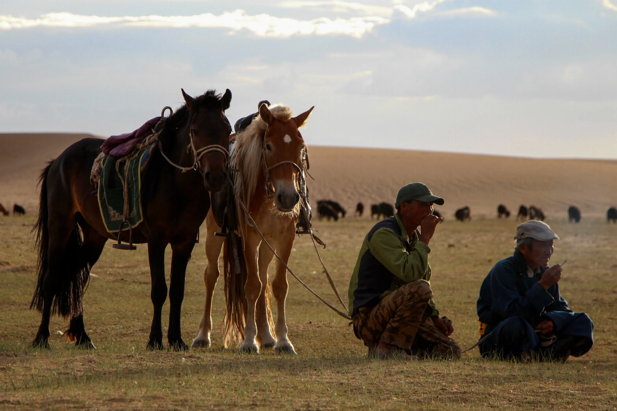   04&nbsp;  Western Gobi,&nbsp;Mongolia 
