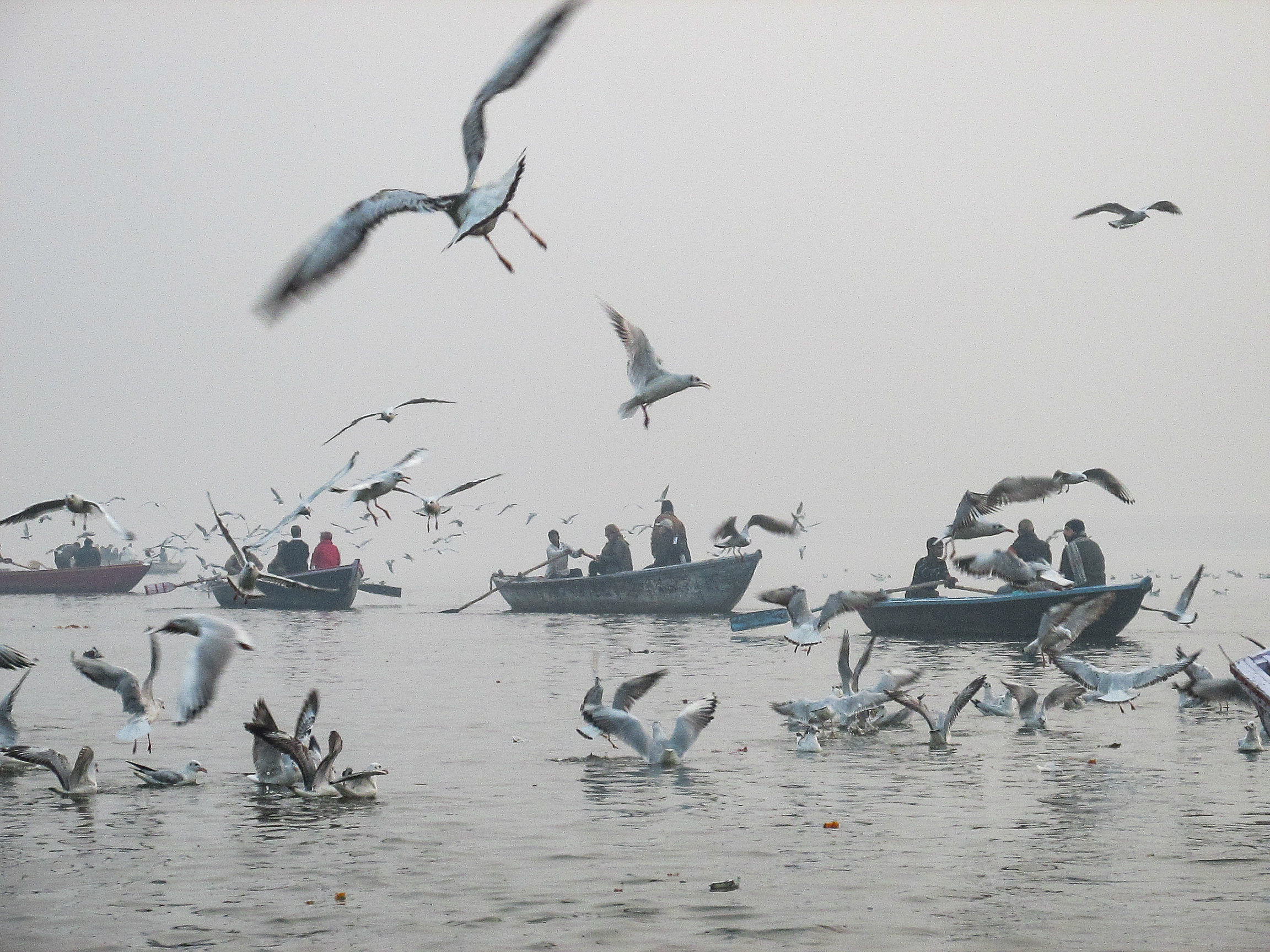   10   Ganges, Varanasi, India 
