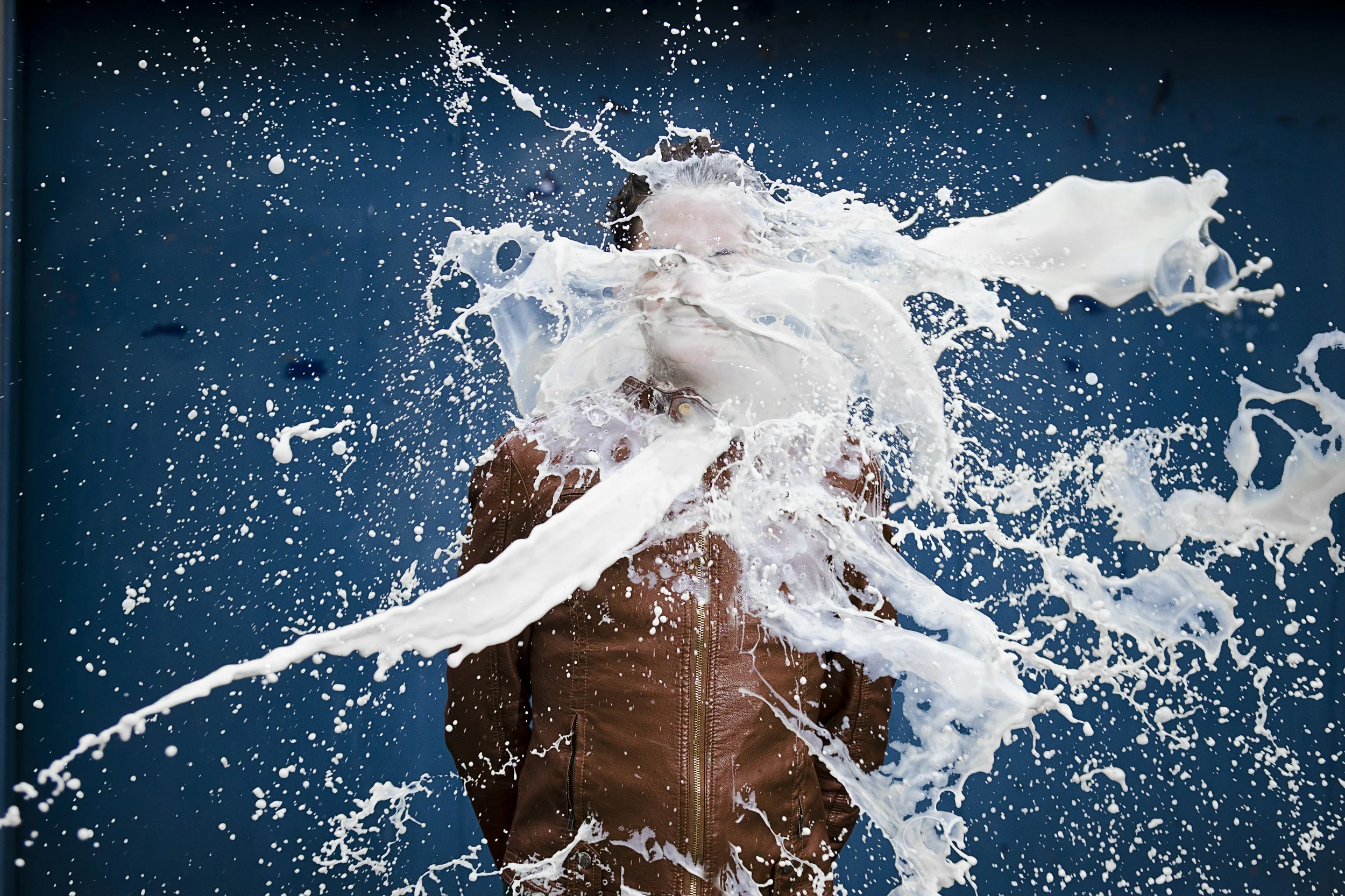 LE GRAND SPECTACLE DU LAIT // the magnificent spectacle of the milking ...