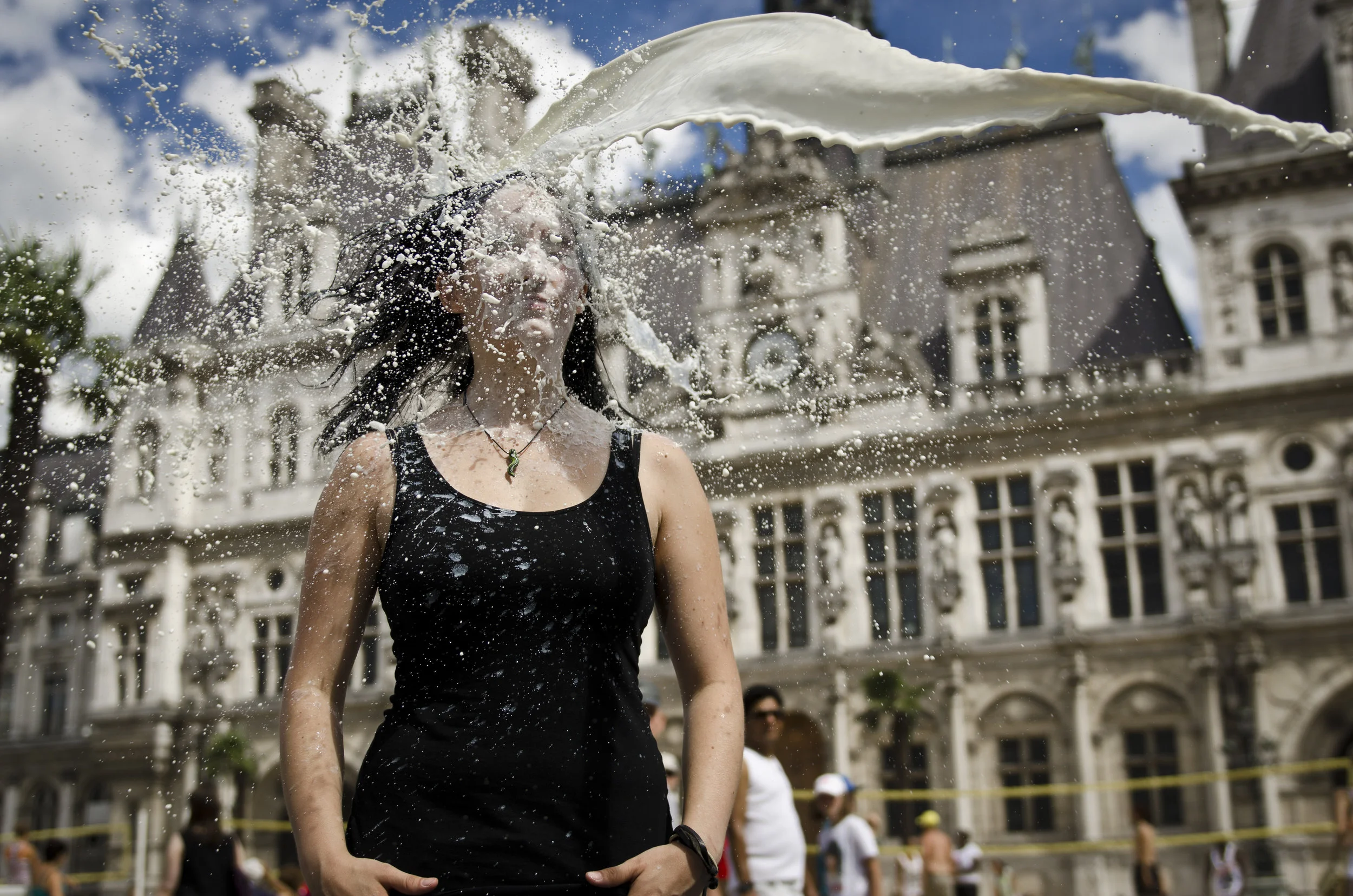 LE GRAND SPECTACLE DU LAIT // the magnificent spectacle of the milking ...