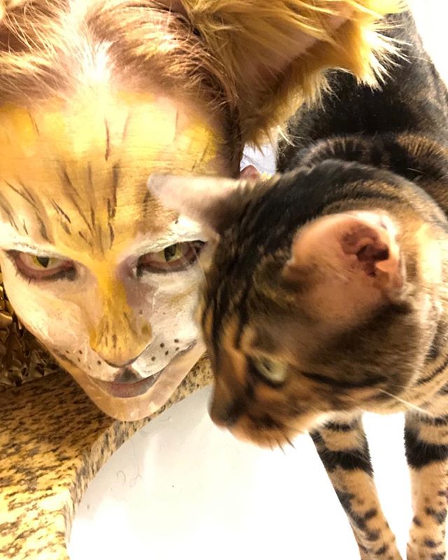 Thanks to the screening room for having us.  Rabbit Jaw opened for the movie Alien.  I dressed as Jonesy- the star of that movie.  I got help from my cat Cheetah!  Thanks for looking in and being awesome!  #cats #rock #thescreeningroom #movies #Alien