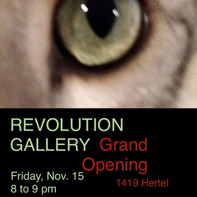 Rabbit Jaw 2.0..... see you there for rebirth of cool! Revolution Gallery expands November 15.  Rabbit Jaw plays from 8 to 9 pm #rebirth #rockandroll #dance #performanceart #love #revolution #buffalove