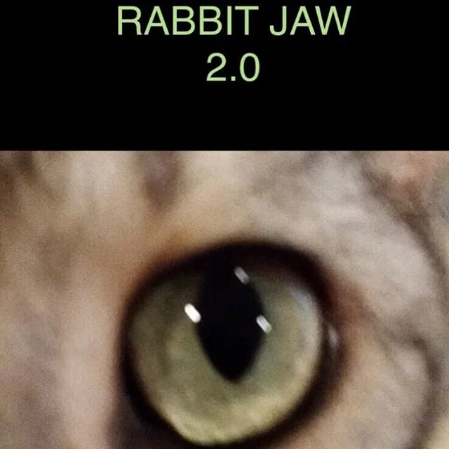 Rabbit Jaw