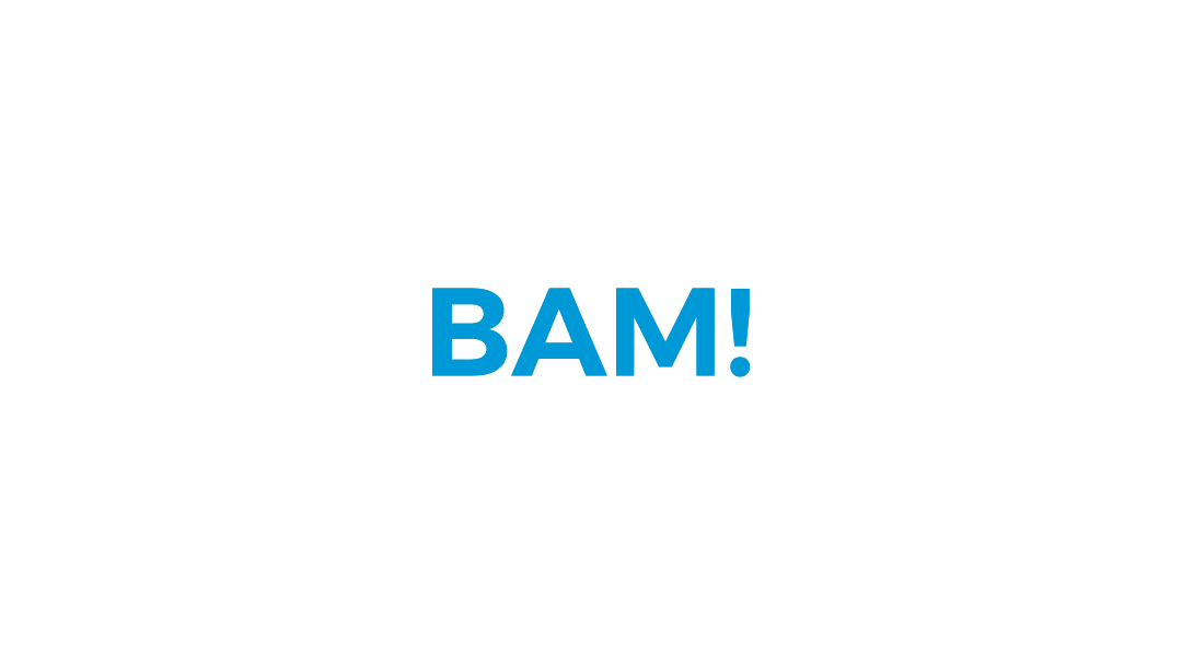 BAM Website.PNG