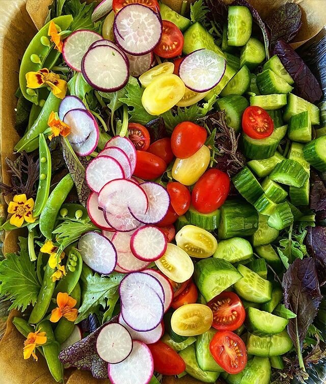 Summer Salads Take 2 / Arugula and Mesclun 🥗 🥬