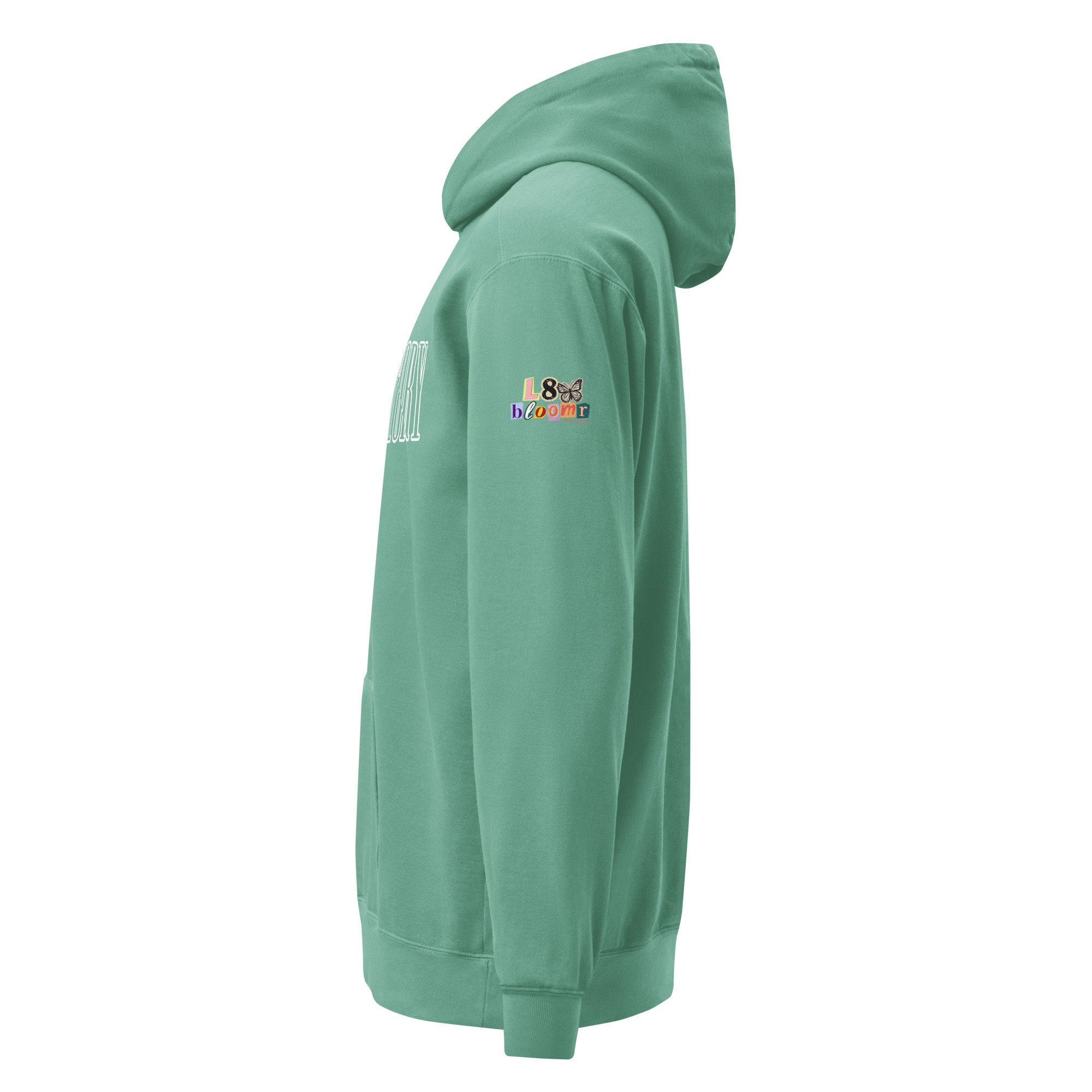 unisex-garment-dyed-hooded-sweatshirt-i-comfort-colors-1567-seafoam-left-6a4fba72d83ce.jpg