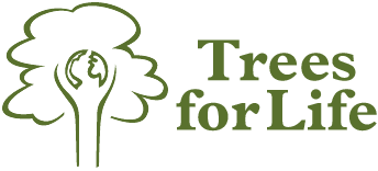 trees.png