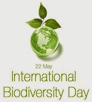 22-May-International-Biodiversity-Day-Green-Earth-Globe.jpg