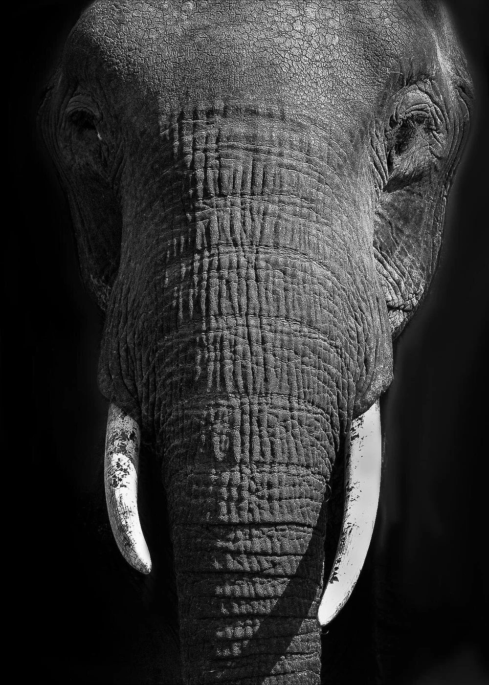 WhatsApp Image 2019-11-06 at 9.37.36 AM (2).jpeg