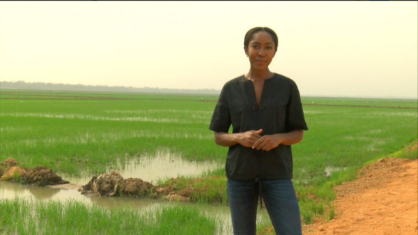 Ijeoma Ndukwe on assignment reporting about rice paddies in Nigeria.