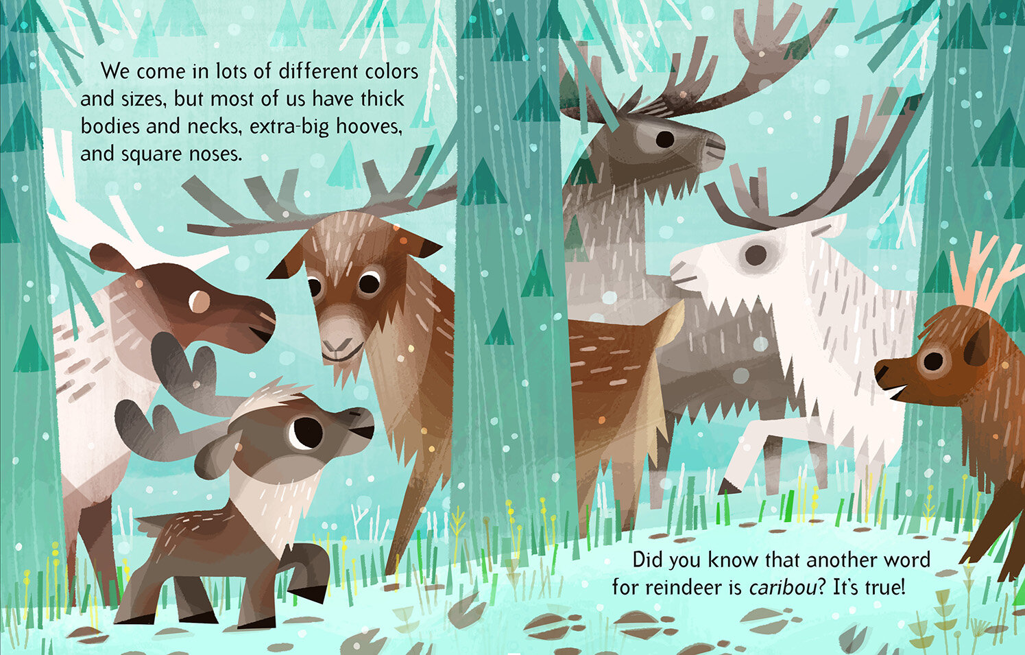 i'm a reindeer int layout-4_web.jpg