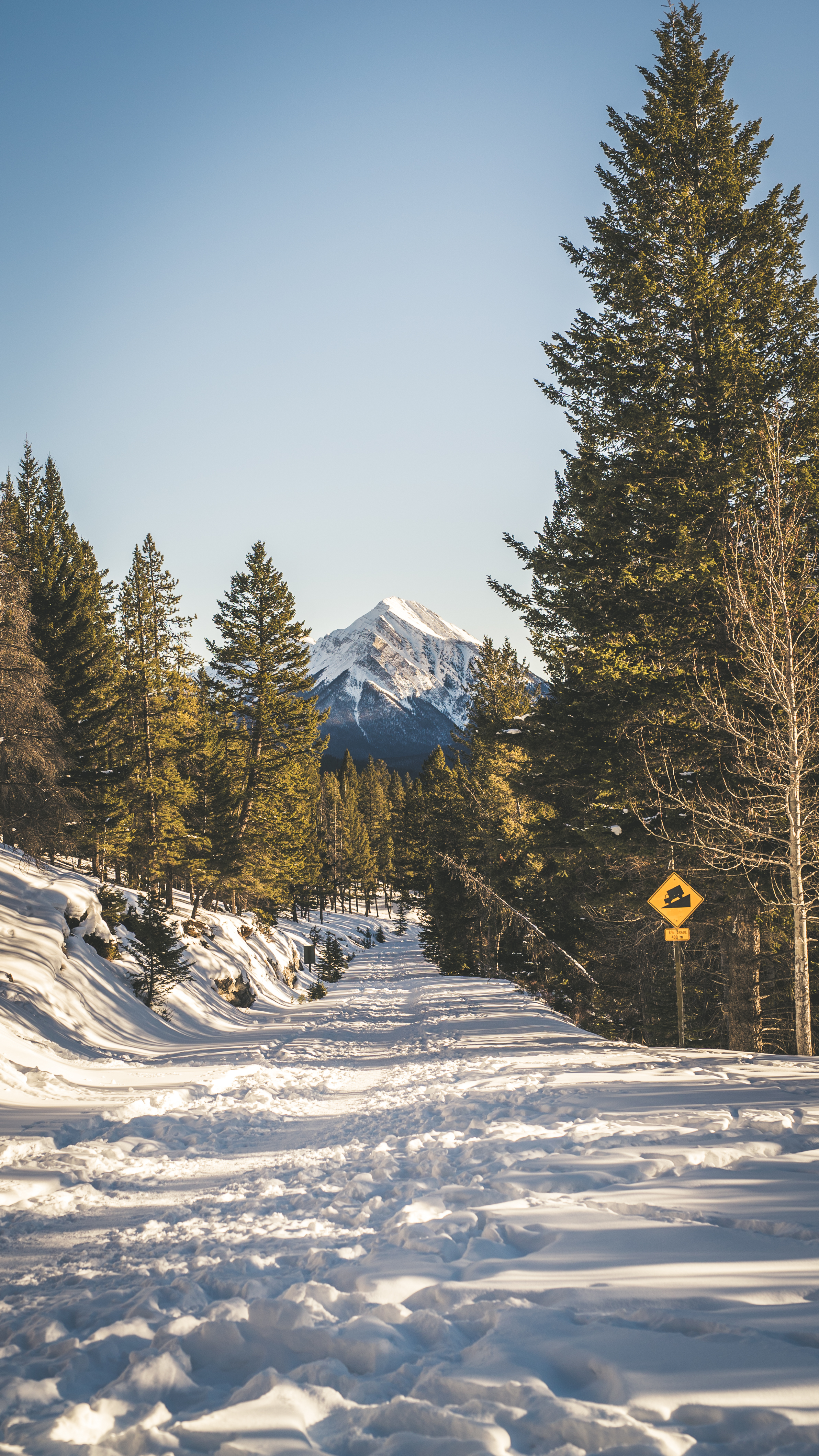 Banff Tunnel Mountain sunset walk-13.jpg