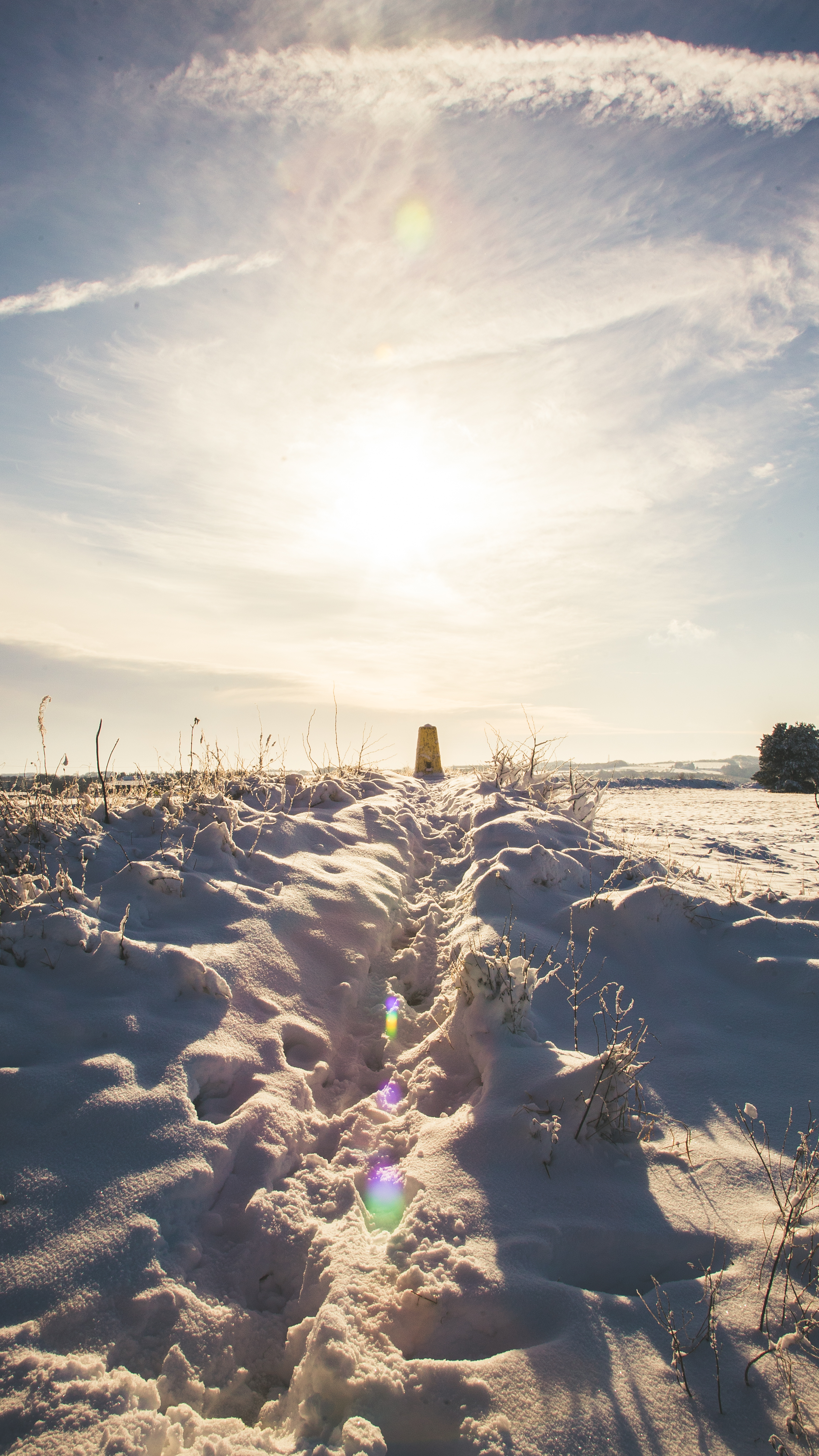 Leckhampton Hill snow-6.jpg