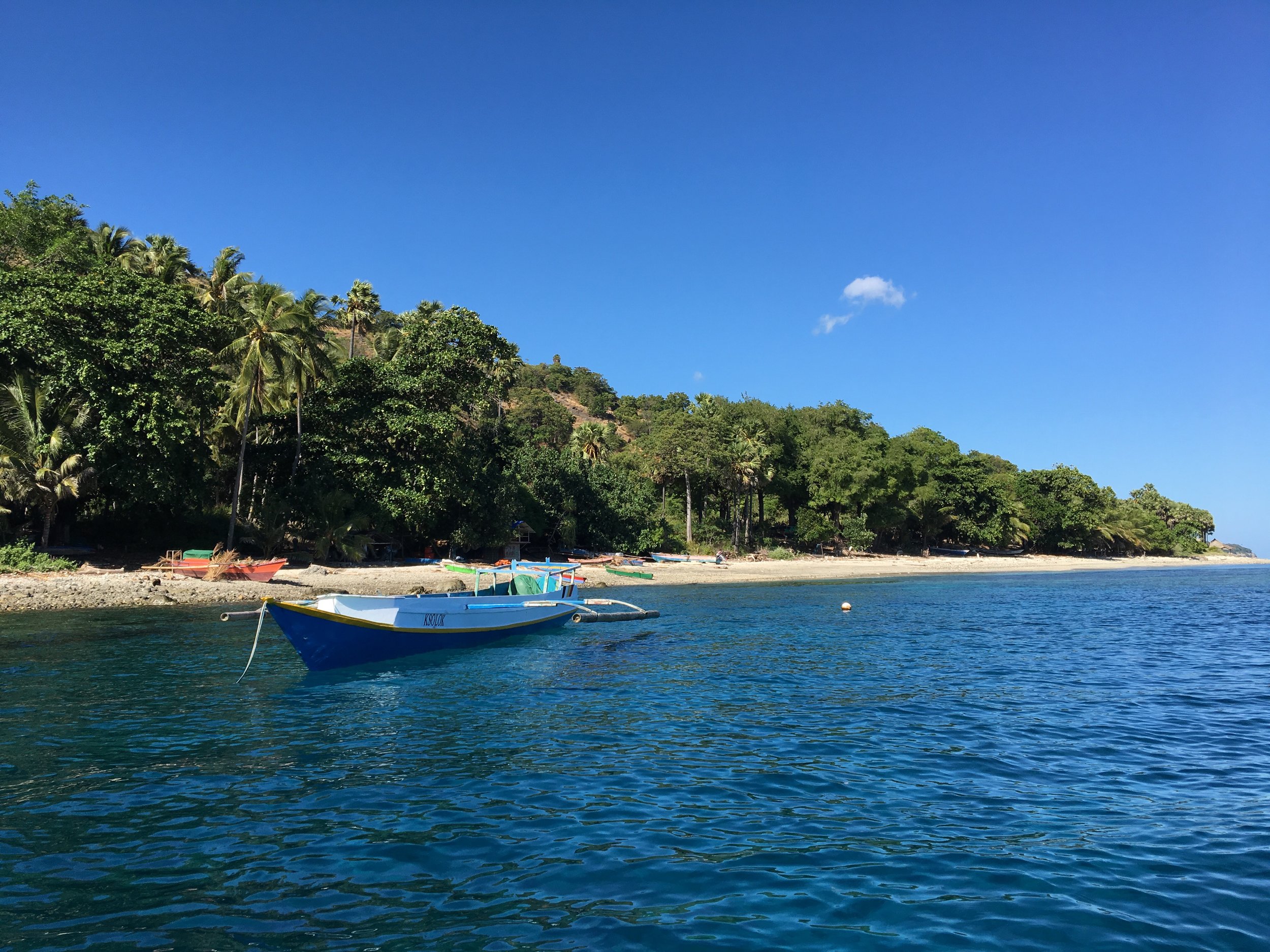 A MICROCOSM OF EQUITY AND SUSTAINABILITY IN EAST TIMOR