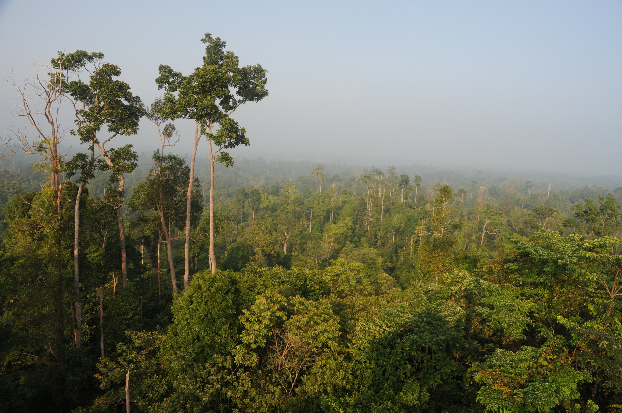 CONSERVATION BEYOND PROTECTED AREAS