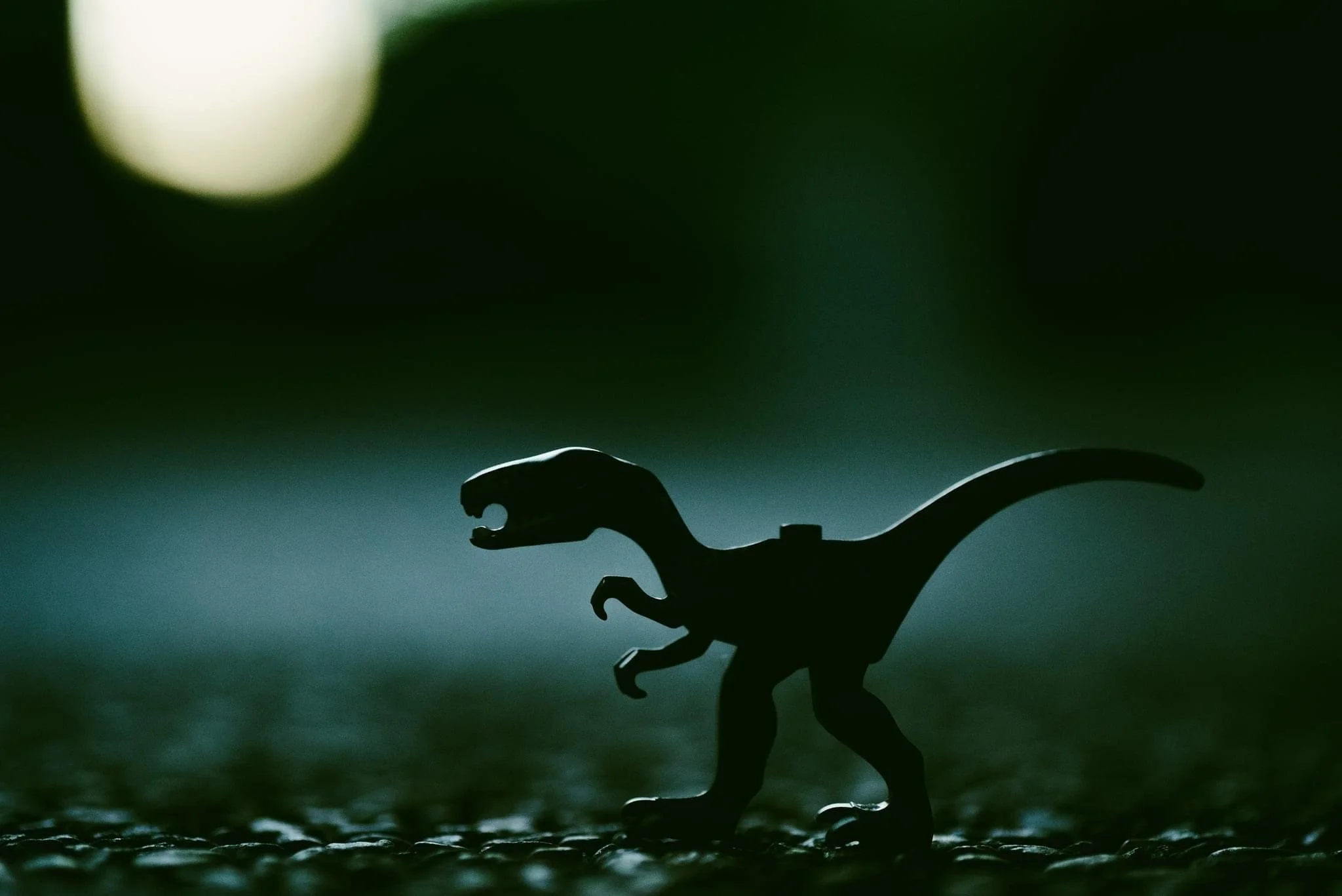 Don’t Pet the Dragon!