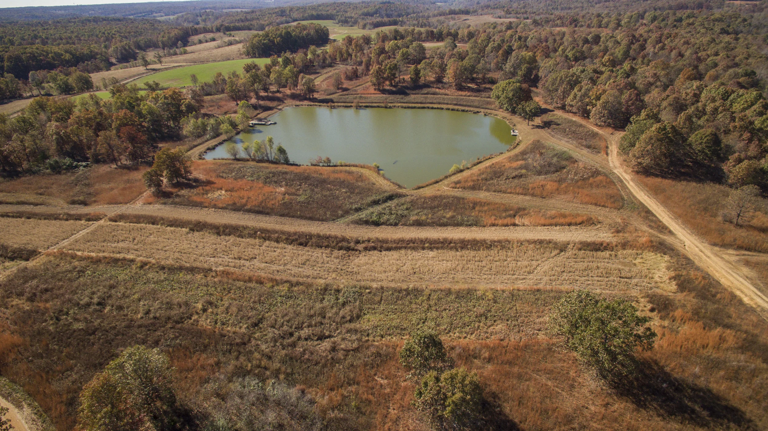 DJI_0006.jpg