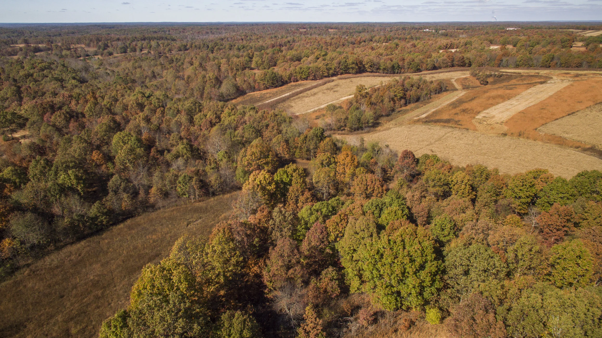 DJI_0008.jpg