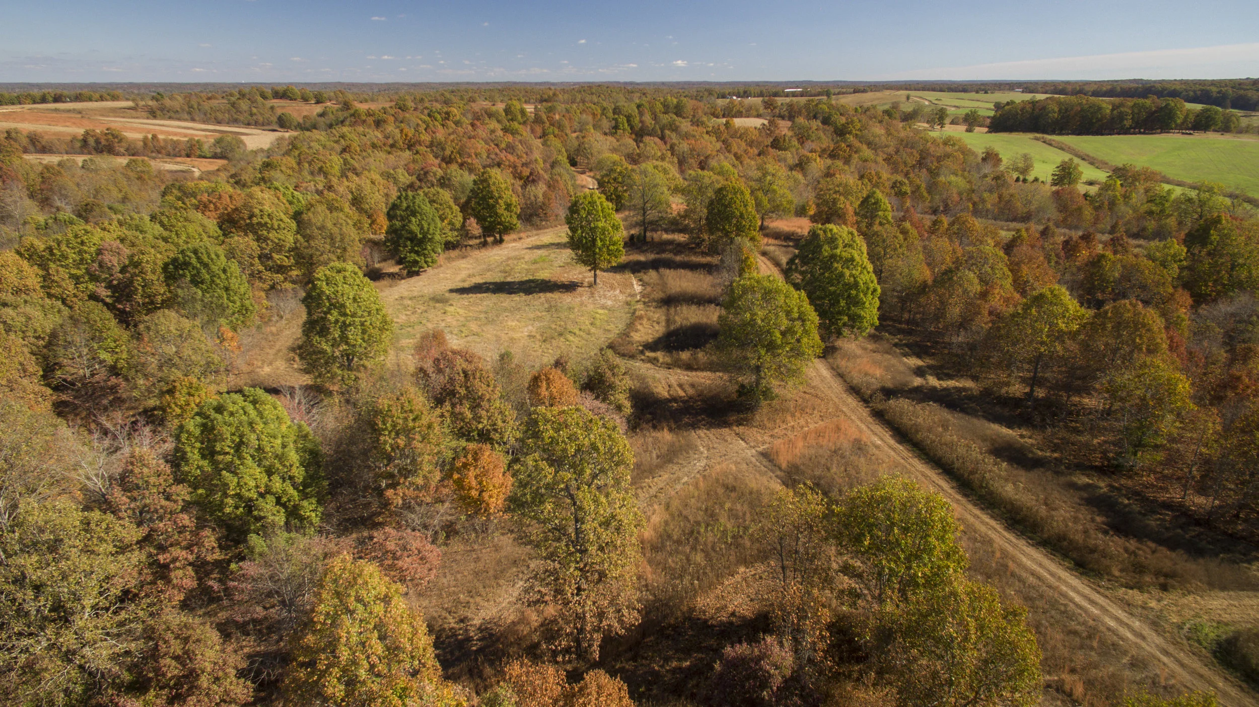 DJI_0039.jpg