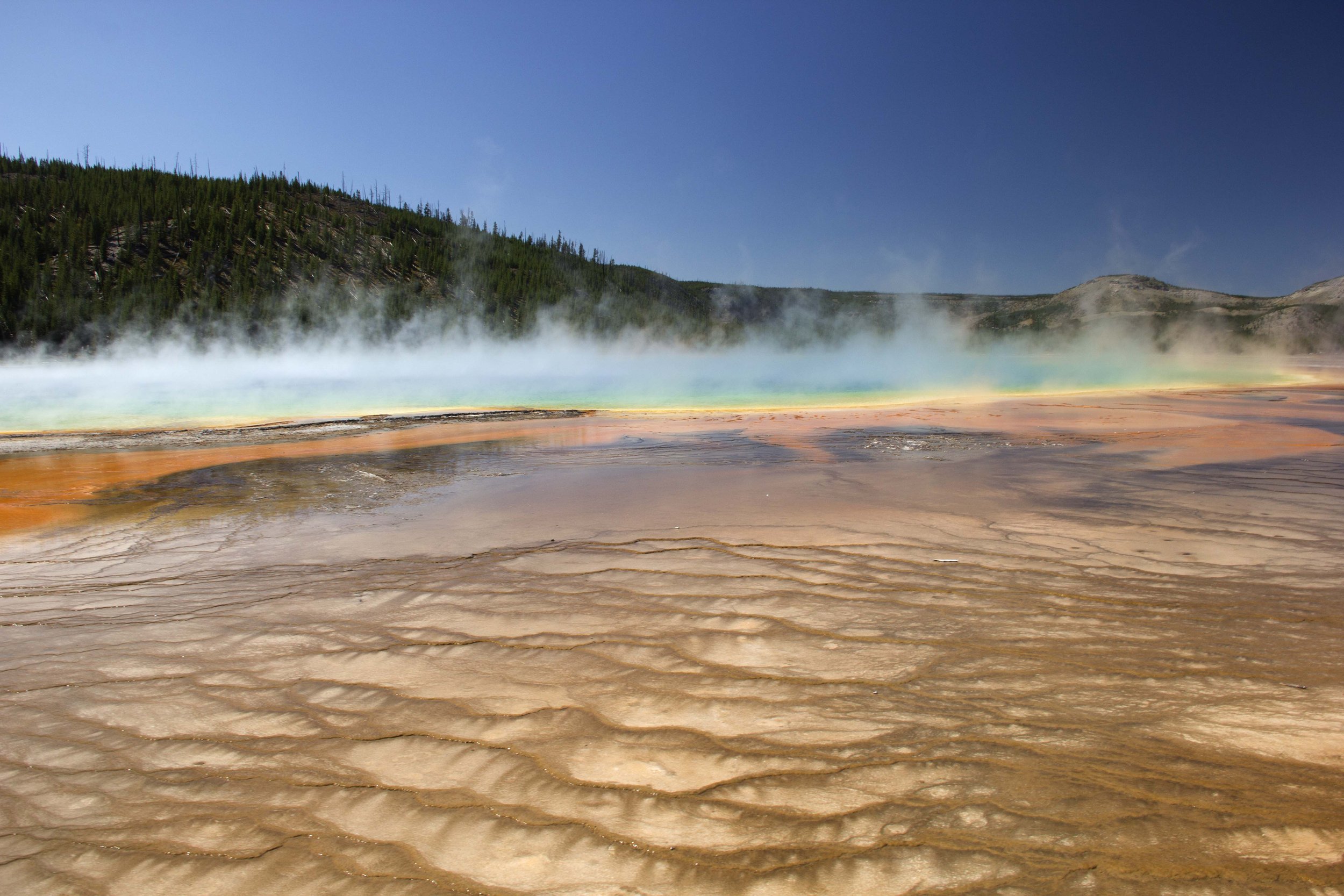lower-geyser-basin_15023750309_o.jpg