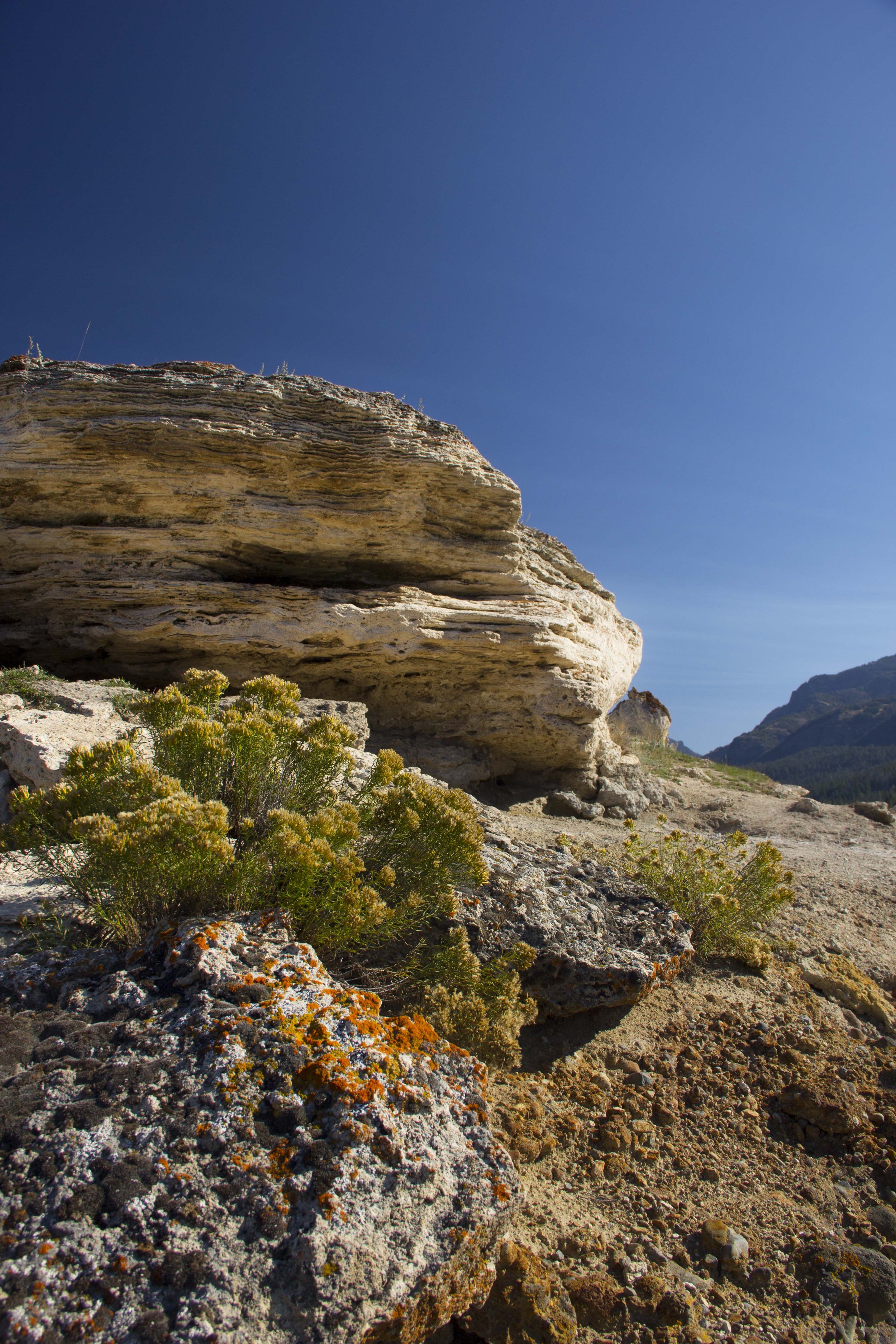 soda-butte-in-lamar-valley_15023960438_o.jpg