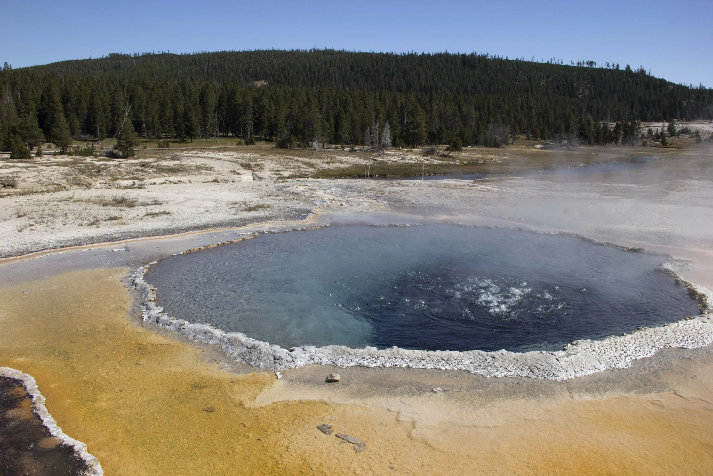 upper-geyser-basin_15023856140_o.jpg