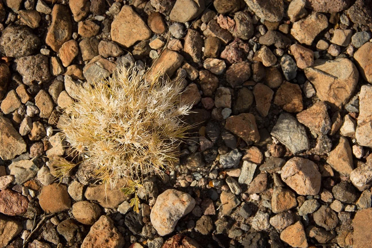 big-bend-national-park_24788697986_o.jpg