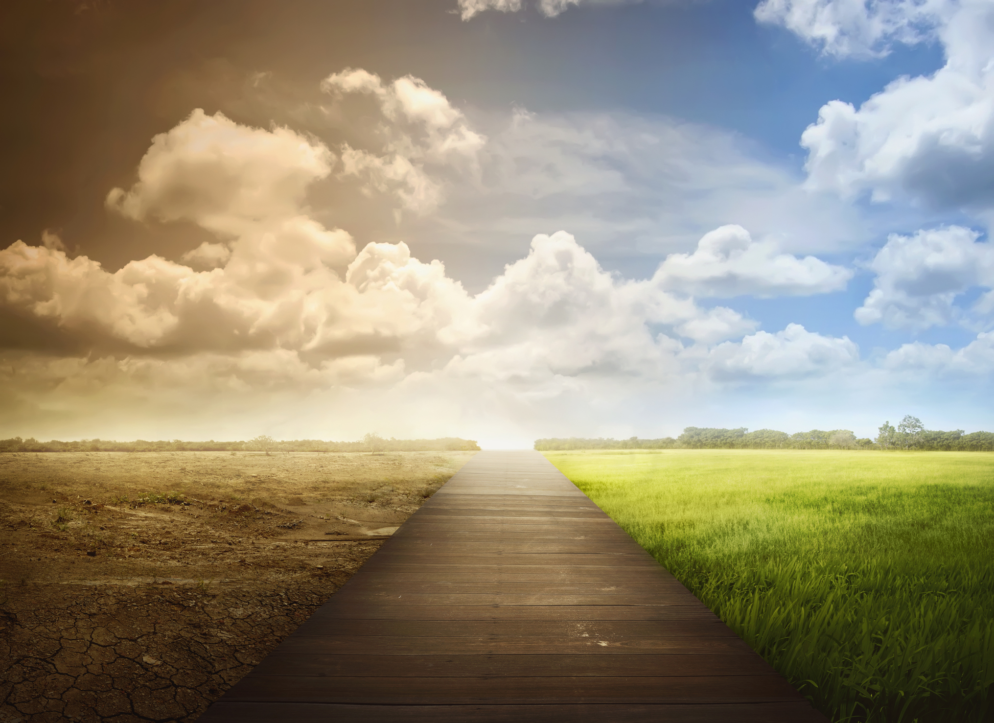 Photo by leolintang/iStock / Getty Images