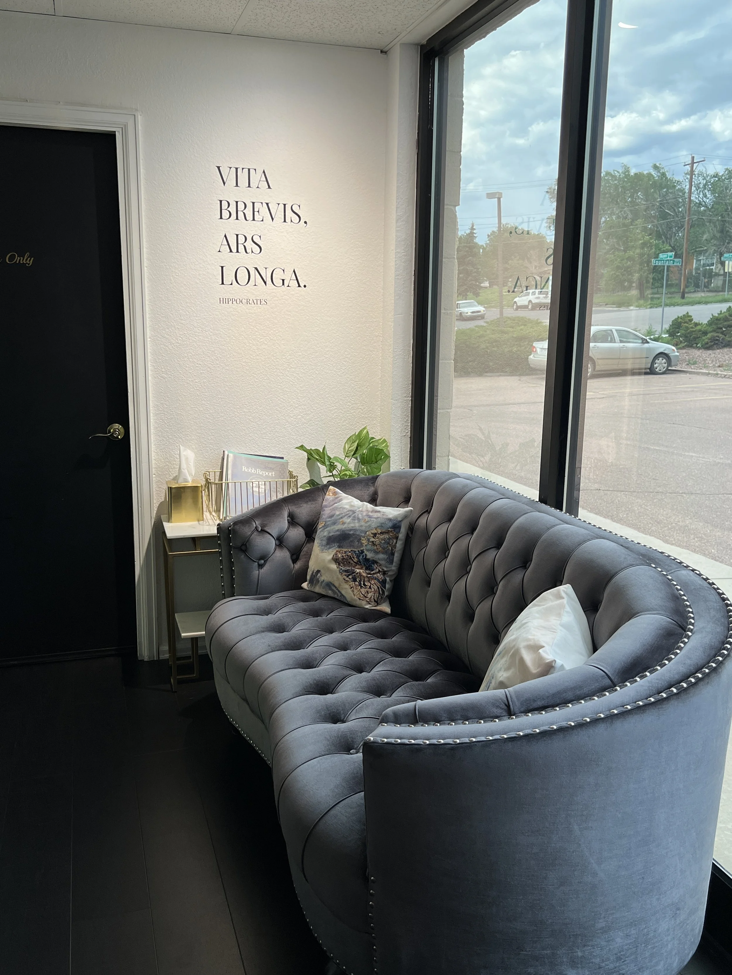 Our Story Vita Brevis Fine Art — Vita Brevis Fine Art