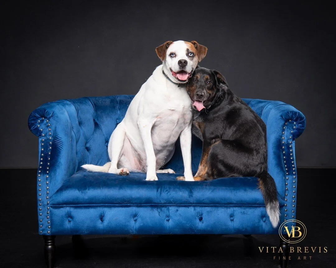 Our Story Vita Brevis Fine Art — Vita Brevis Fine Art