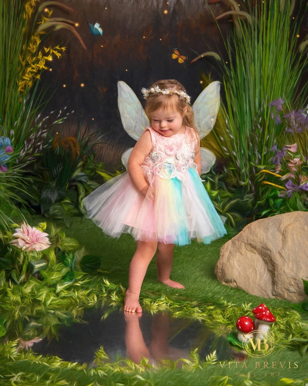 Contact Vita Brevis Fine Art — Vita Brevis Fine Art