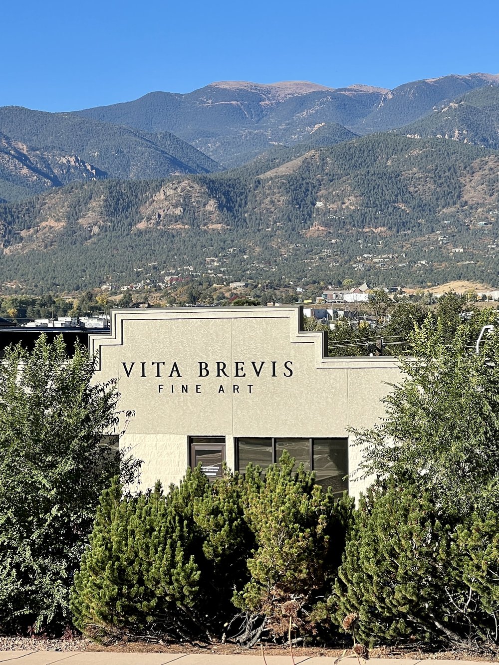 The Experience — Vita Brevis Fine Art