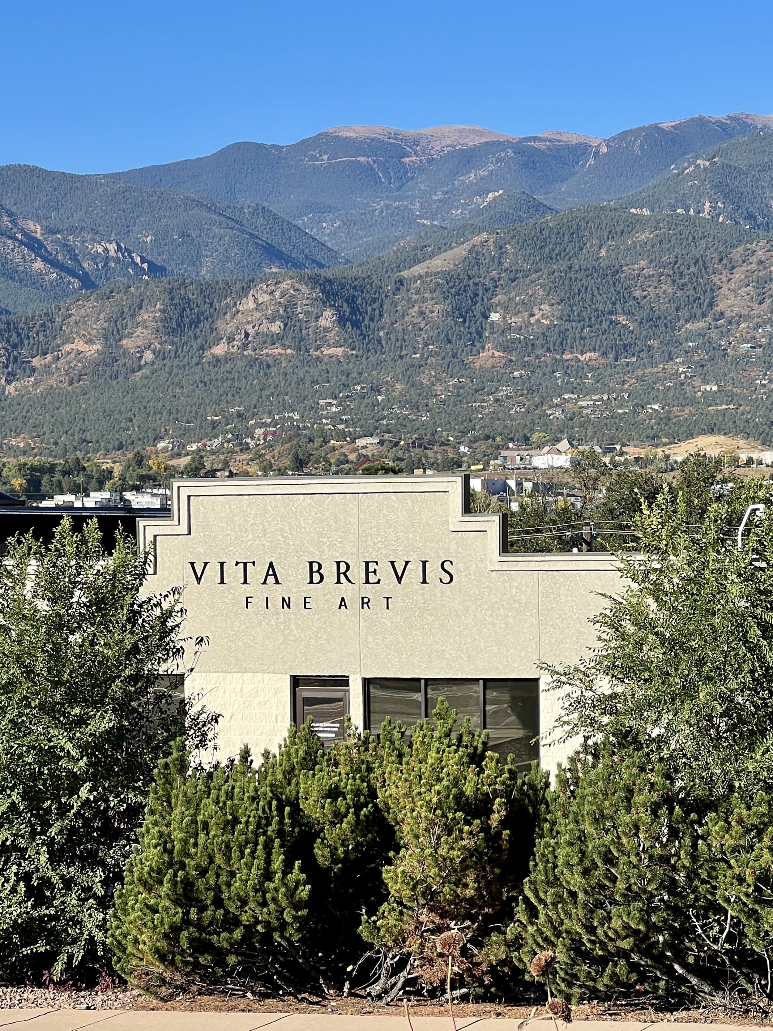 The Experience — Vita Brevis Fine Art